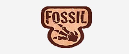 Fossil Expansion Set