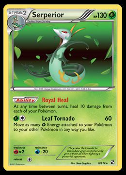 6/114 Serperior