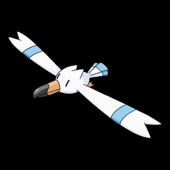 Wingull Pokémon