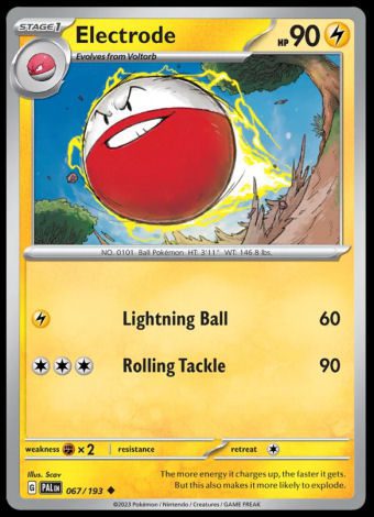 067/193 Electrode