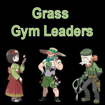 Who are the Grass Gym Leaders?
