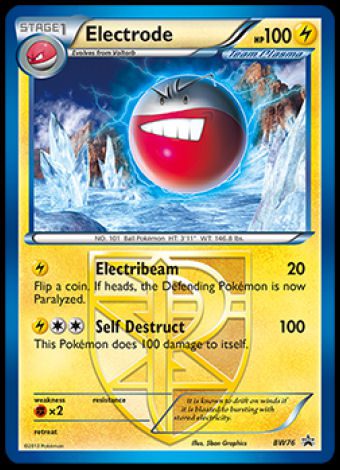 BW76 Electrode