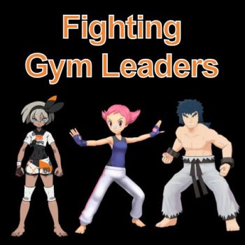 Fighting Gym Leaders and Elite Four