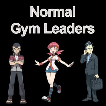 Normal Gym Leaders & Elite Four